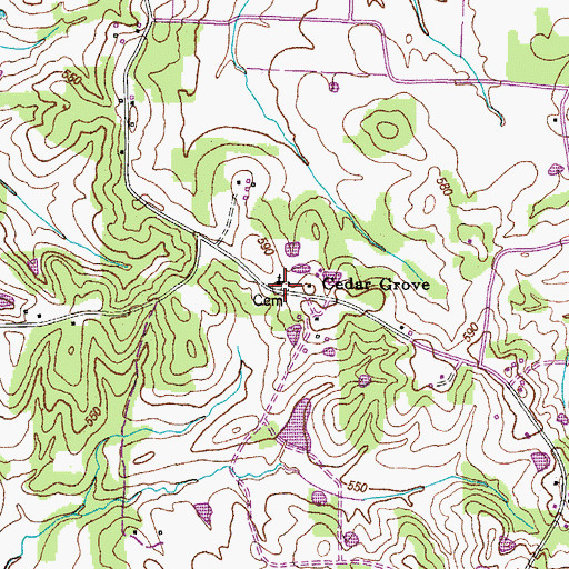 Topographic Map of Cedar Grove Cemetery, TN