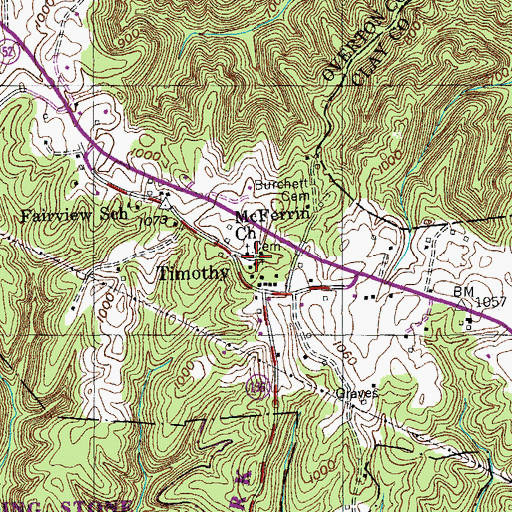 Topographic Map of McFerrin Cemetery, TN