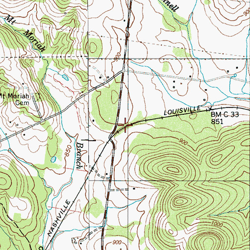 Topographic Map of Bowmans Cut, TN