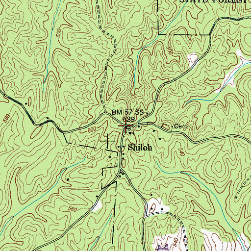 Topographic Map of Shiloh Baptist Church, TN