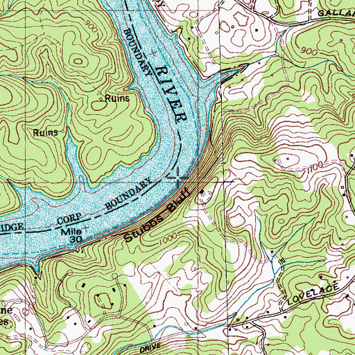 Topographic Map of Hursts Shoals, TN