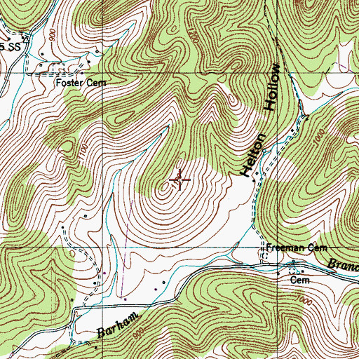 Topographic Map of Freeman Cemetery, TN
