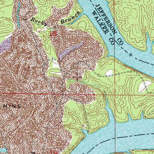 Topographic Map of Richardson (historical), AL