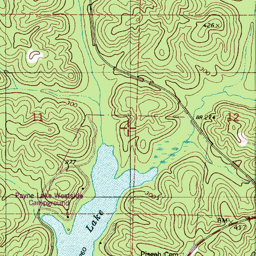 Topographic Map of Payne Lake Recreation Area, AL