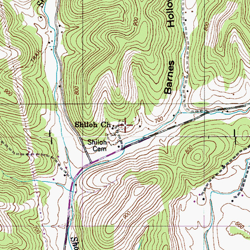 Topographic Map of Shiloh Cemetery, TN
