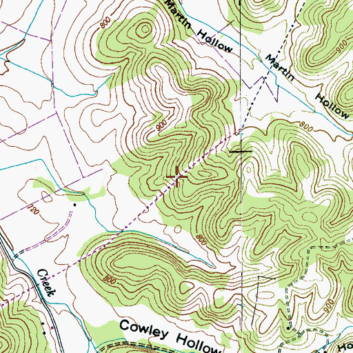 Topographic Map of Thomison Cemetery, TN