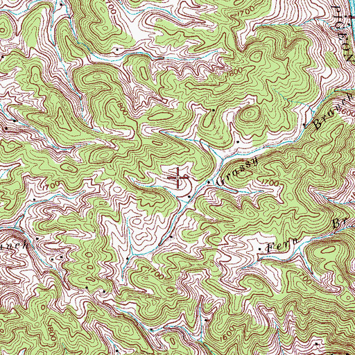 Topographic Map of Grassy Cemetery, TN