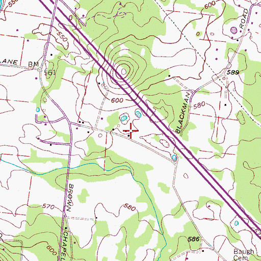 Topographic Map of Bass Cemetery, TN