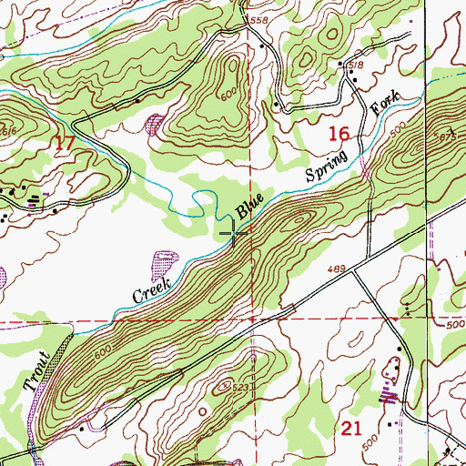 Topographic Map of Blue Spring Fork, AL