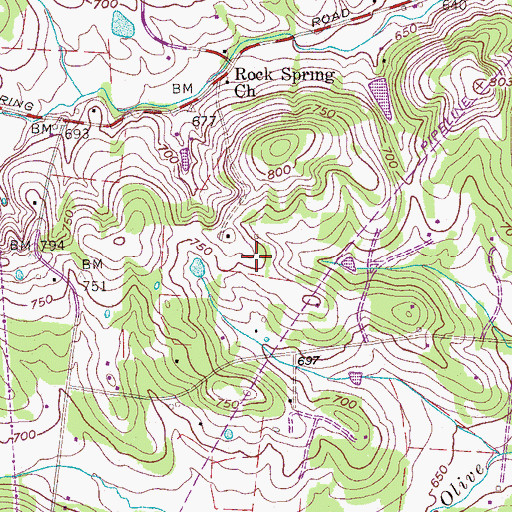 Topographic Map of Holland Cemetery, TN