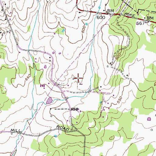 Topographic Map of Livenston Cemetery, TN