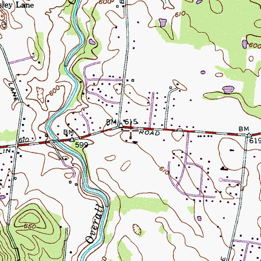Topographic Map of Puckett Cemetery, TN