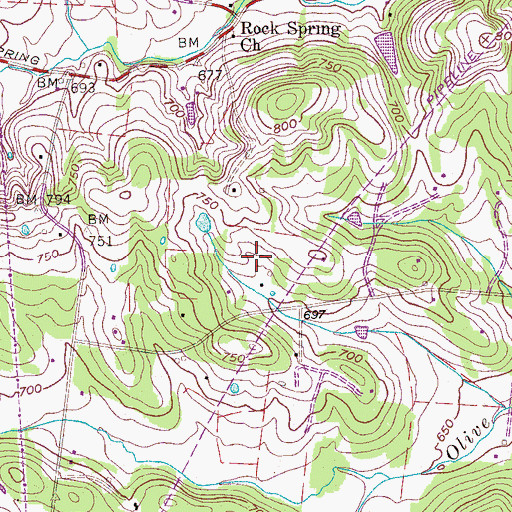 Topographic Map of Ray Cemetery, TN