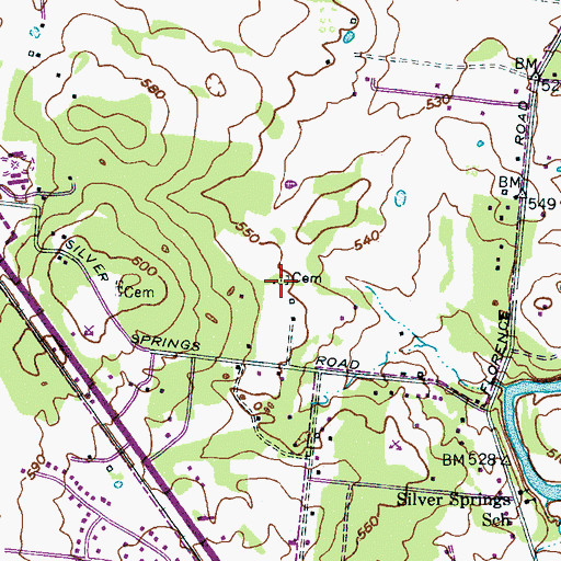 Topographic Map of Reed-Woods Cemetery, TN