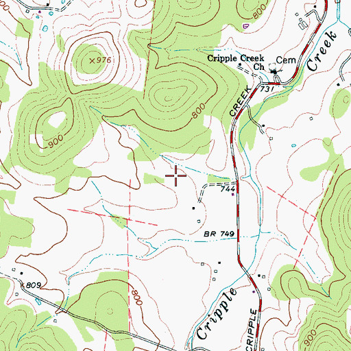 Topographic Map of Ring Cemetery, TN
