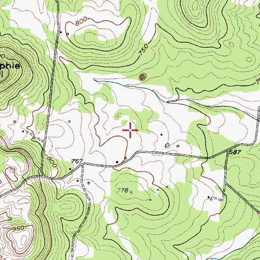 Topographic Map of Snell-Newman Cemetery, TN