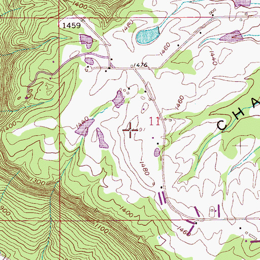 Topographic Map of Chandler Mountain, AL