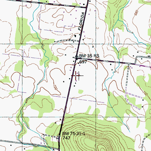 Topographic Map of White Cemetery, TN