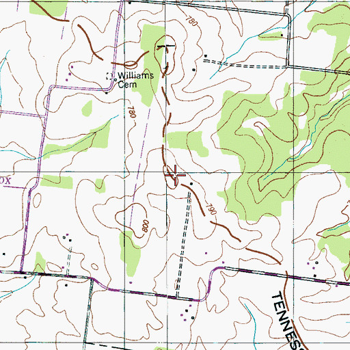 Topographic Map of Williams Cemetery, TN