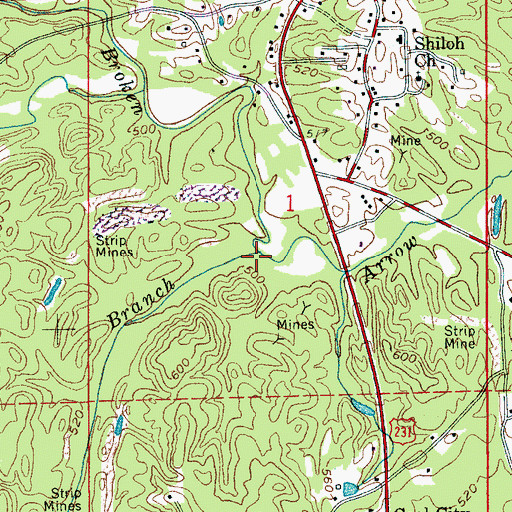 Topographic Map of Cold Branch, AL