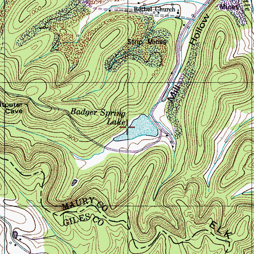 Topographic Map of Badget Spring, TN