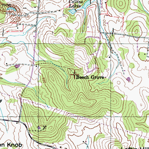 Topographic Map of Davis-Mitchell Cemetery, TN