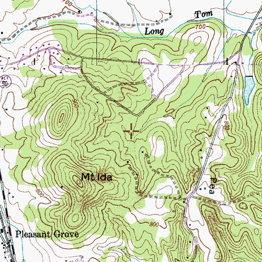 Topographic Map of Fitzspatrick Cemetery, TN