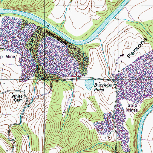 Topographic Map of Liberty Cemetery, TN