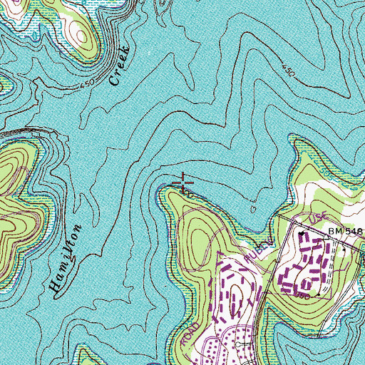 Topographic Map of Ellis Cemetery (historical), TN