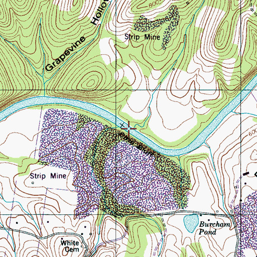 Topographic Map of Suck Island Ford, TN