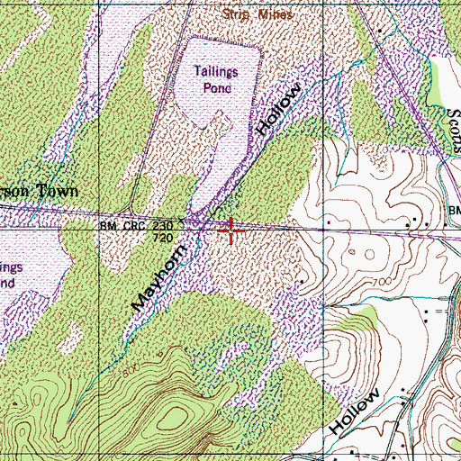 Topographic Map of Williams Cemetery, TN