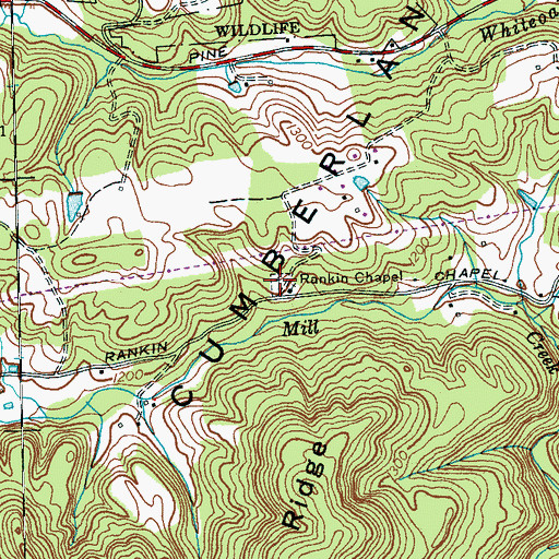 Topographic Map of Rankin Cemetery, TN
