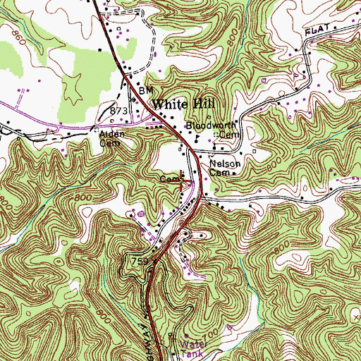 Topographic Map of White Hill Cemetery, TN