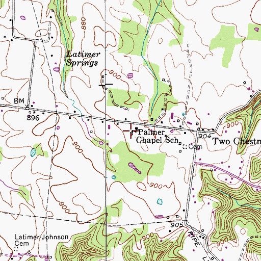 Topographic Map of Palmer Chapel, TN