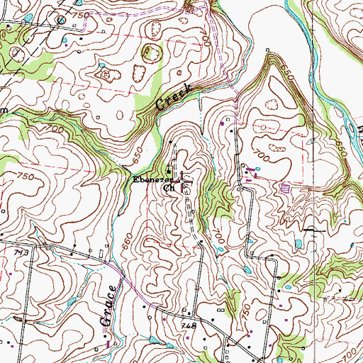 Topographic Map of Ebenezer Cemetery, TN