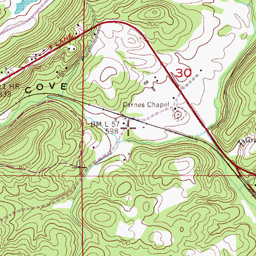 Topographic Map of Greasy Cove, AL