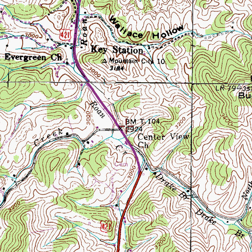 Topographic Map of Center View, TN
