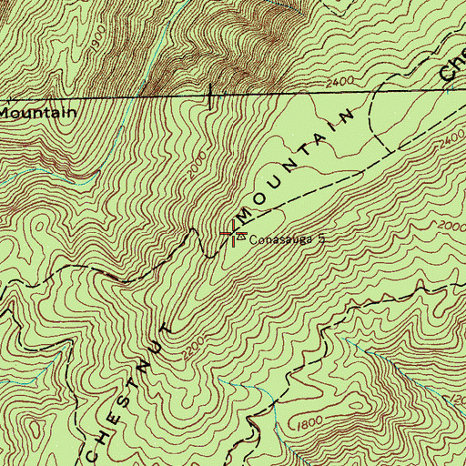 Topographic Map of Chestnut Mountain Trail, TN