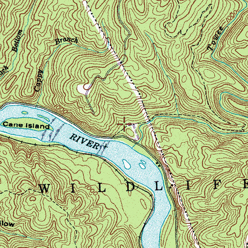 Topographic Map of Towee Recreation Area, TN