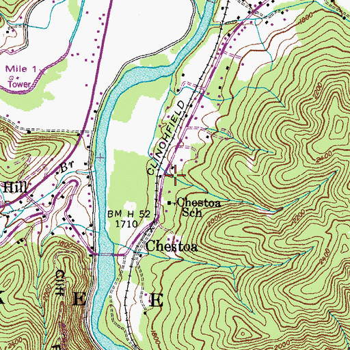 Topographic Map of Ivy Hollow, TN