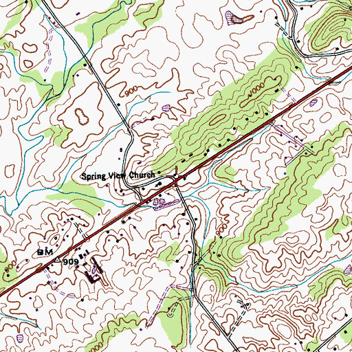 Topographic Map of Springview, TN