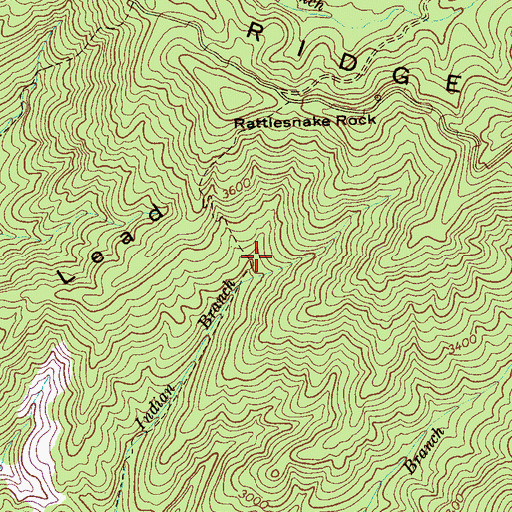 Topographic Map of Big Indian Branch Trail, TN