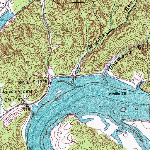 Topographic Map of Cooks Hollow, TN