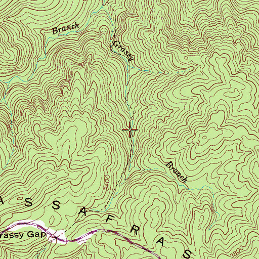 Topographic Map of Grassy Branch Trail, TN