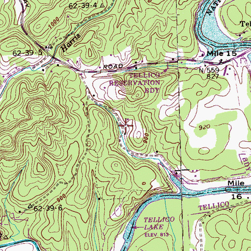 Topographic Map of Tellico Camp, TN
