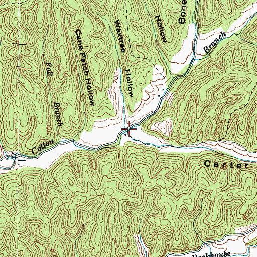Topographic Map of Carter Branch, TN