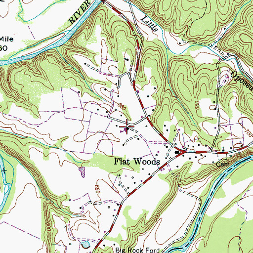 Topographic Map of Flatwoods School, TN