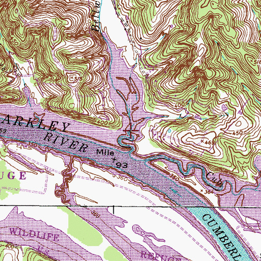 Topographic Map of Bellwood Hollow, TN