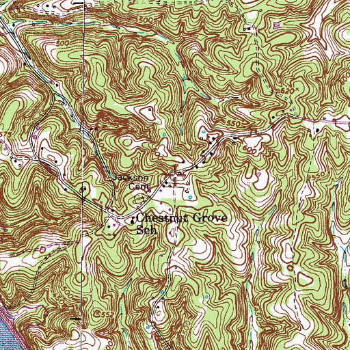 Topographic Map of Chestnut Grove, TN