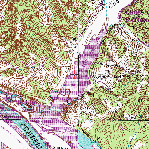 Topographic Map of Cub Creek Cove, TN